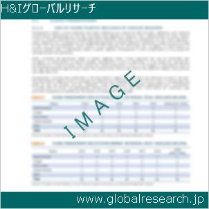 グローバルリサーチ調査レポートのイメージ